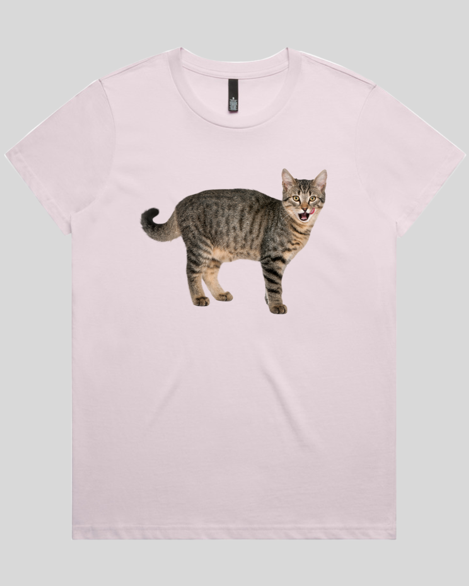 Hungry cat Women's Tee