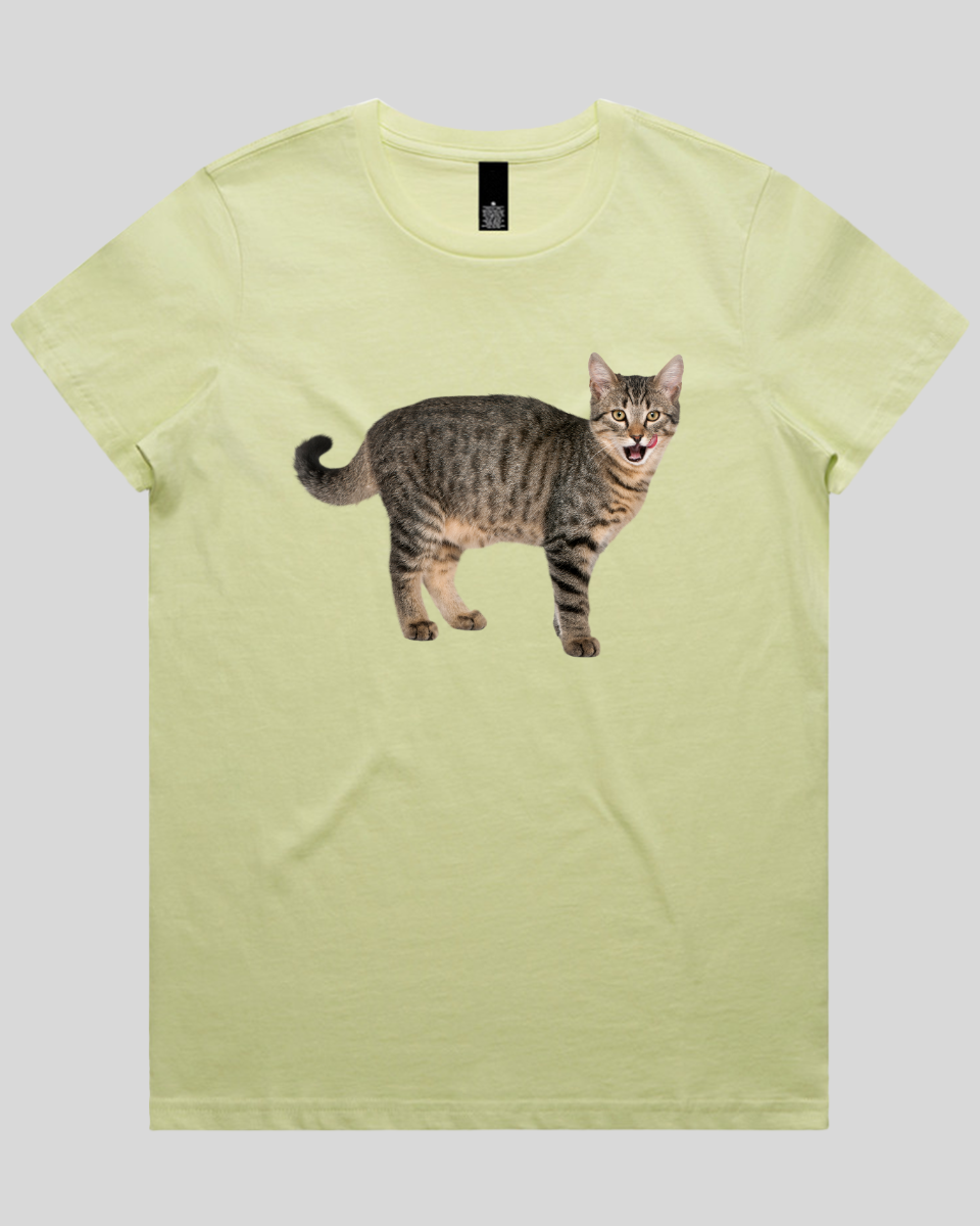 Hungry cat Women's Tee