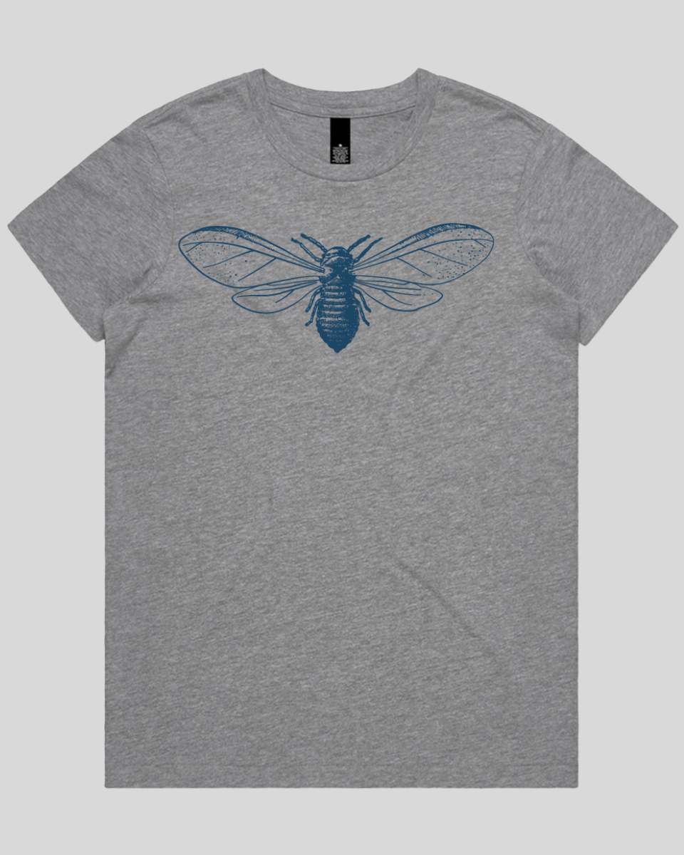 Detailed Moth Illustration Women's Tee