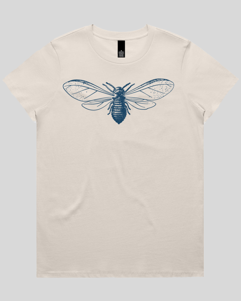Detailed Moth Illustration Women's Tee