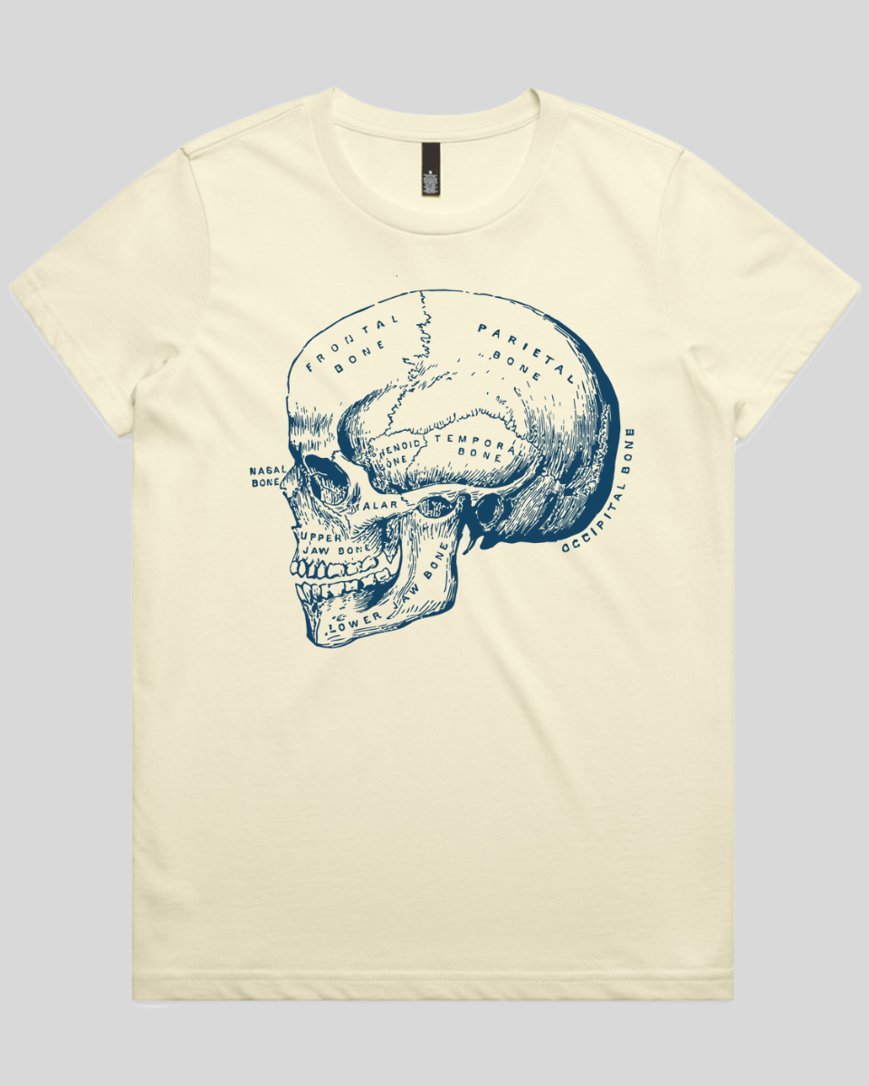 Blueprint Skull Women's Tee
