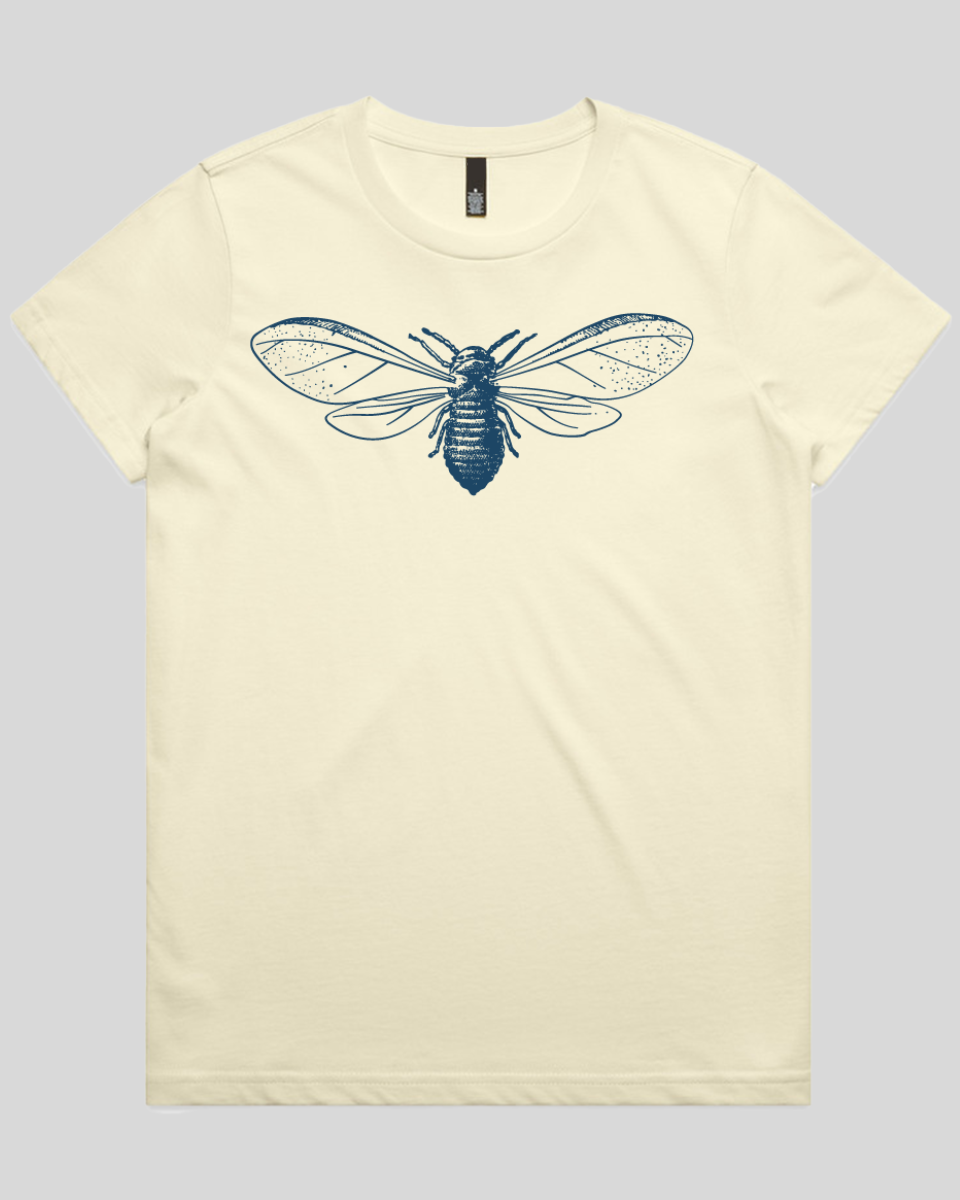 Detailed Moth Illustration Women's Tee