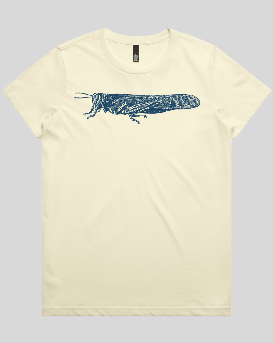 Etched Grasshopper Women's T-Shirt