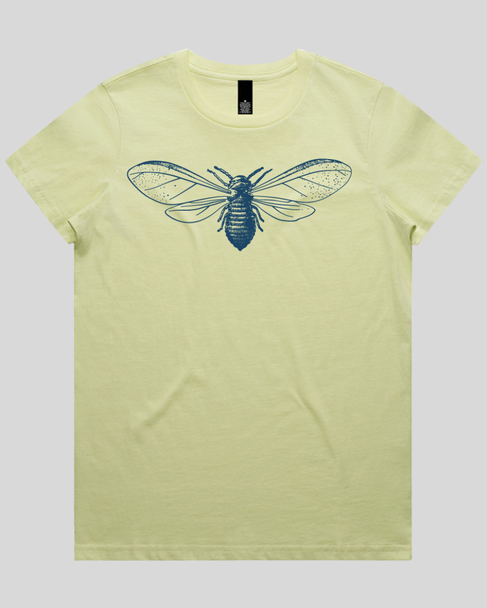 Detailed Moth Illustration Women's Tee