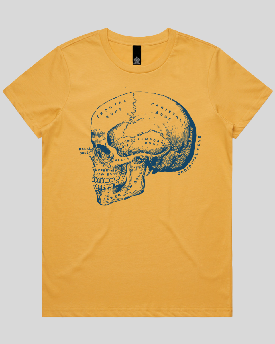 Blueprint Skull Women's Tee