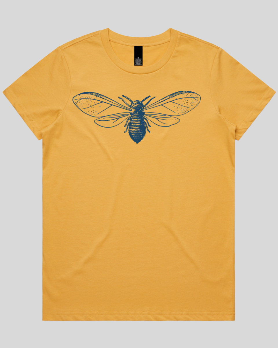 Detailed Moth Illustration Women's Tee