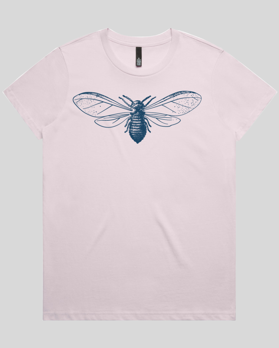 Detailed Moth Illustration Women's Tee