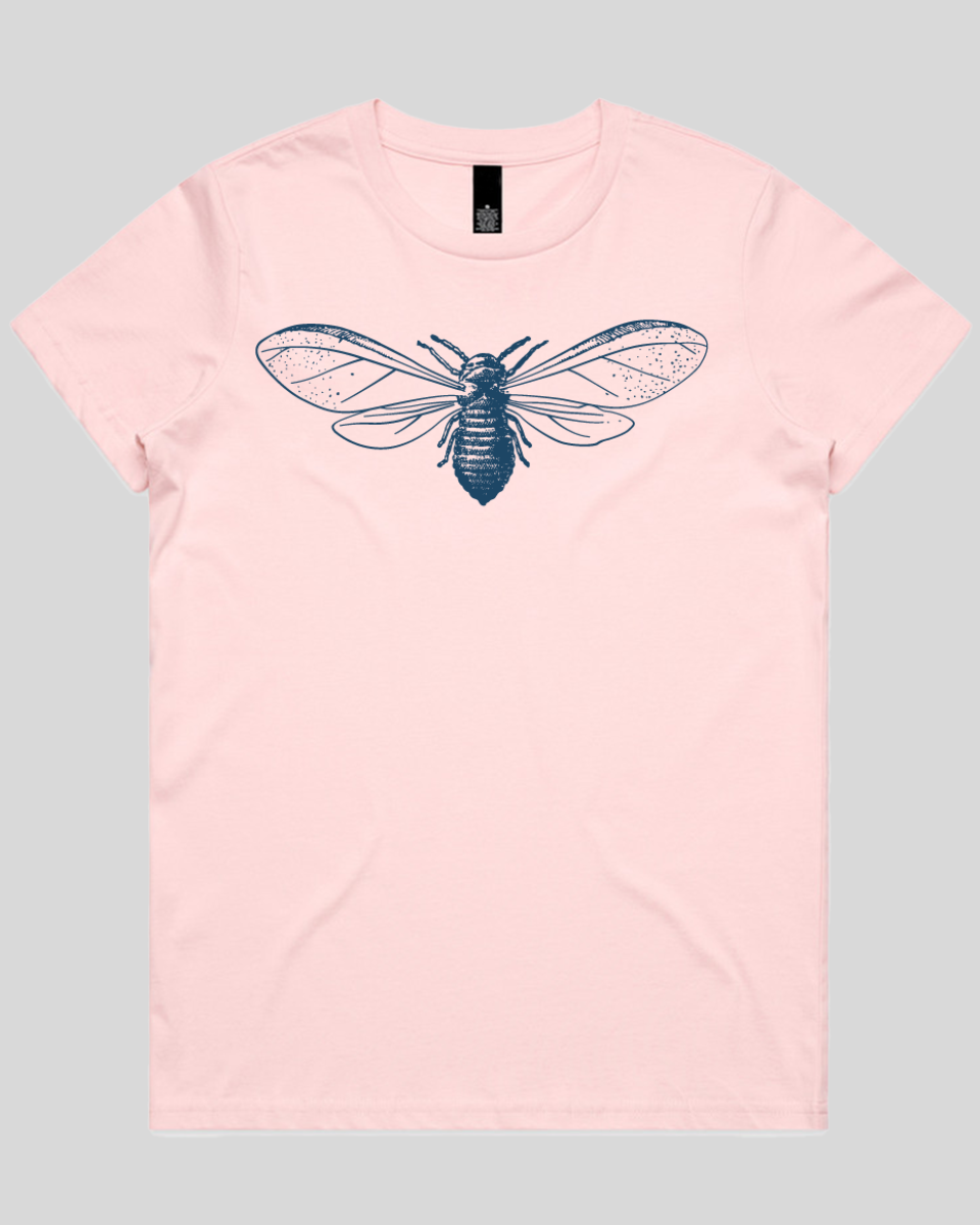 Detailed Moth Illustration Women's Tee