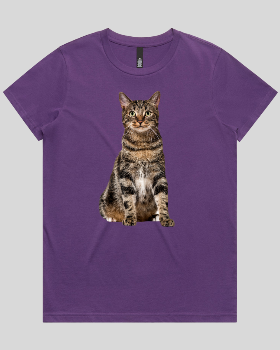 Alert Cat 2 Women's Tee