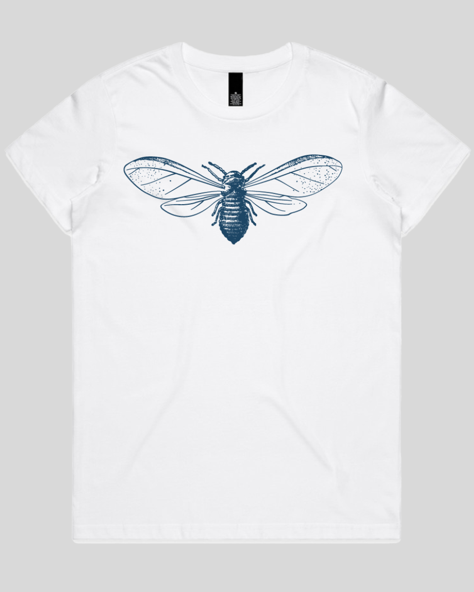 Detailed Moth Illustration Women's Tee
