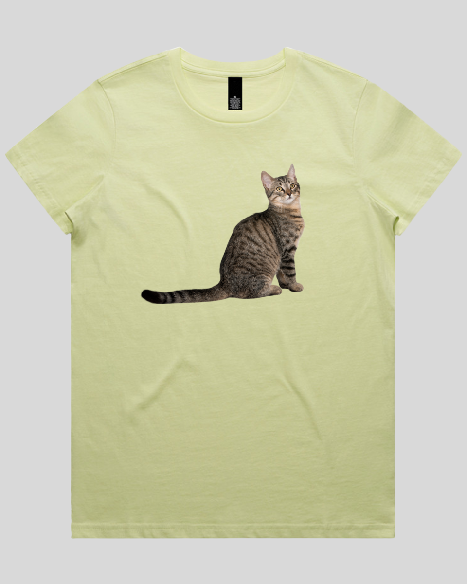 Curious Cat Women's Tee