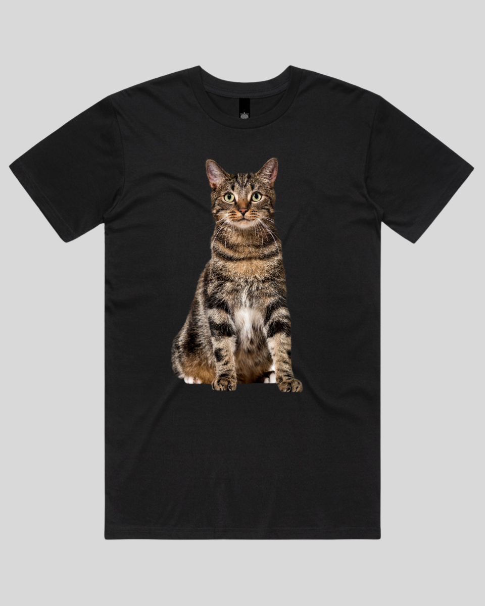 Alert Cat 2 Women's Tee