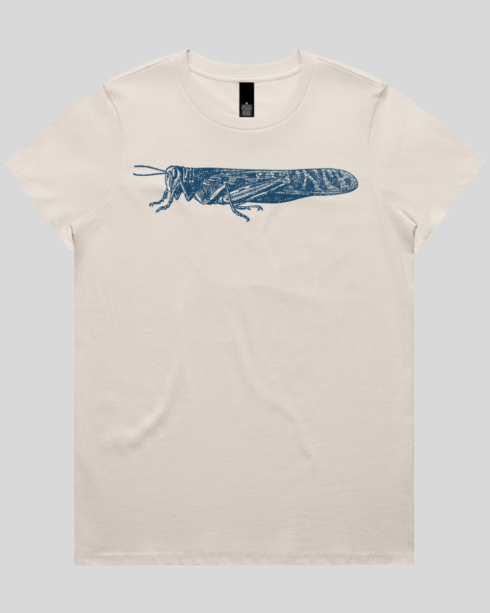 Etched Grasshopper Women's T-Shirt