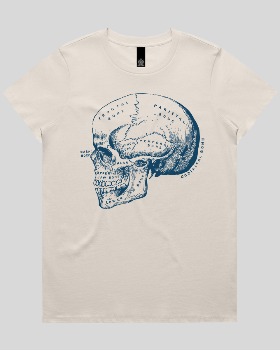 Blueprint Skull Women's Tee