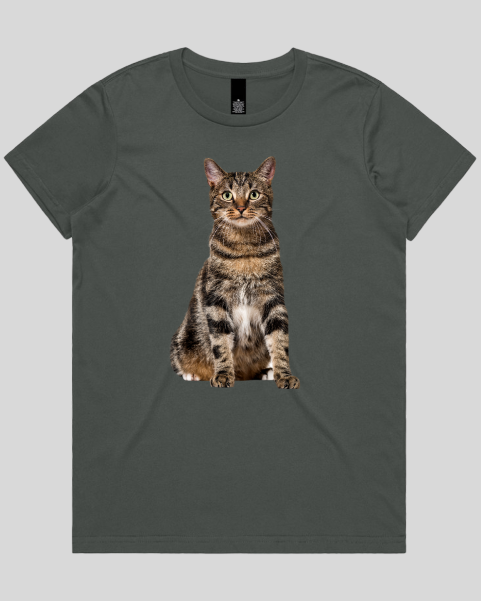 Alert Cat 2 Women's Tee