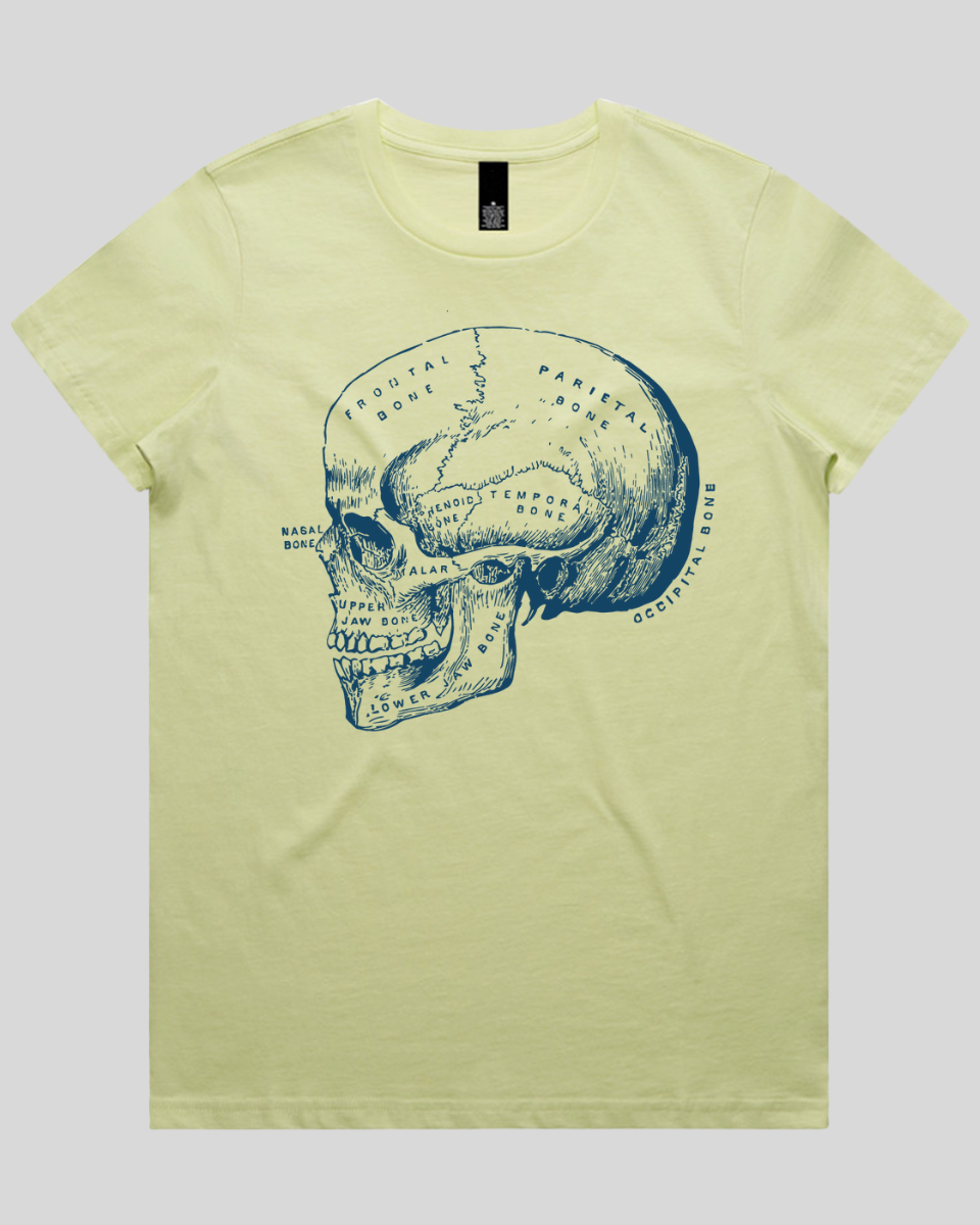 Blueprint Skull Women's Tee