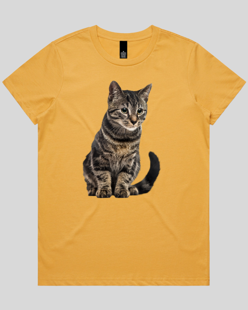 Focused Cat Women's Tee