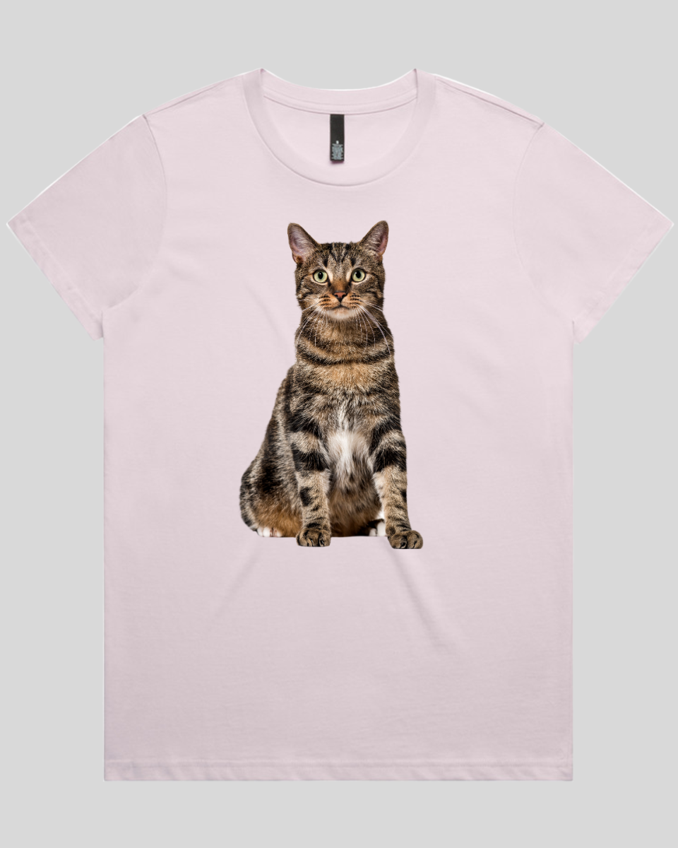 Alert Cat 2 Women's Tee