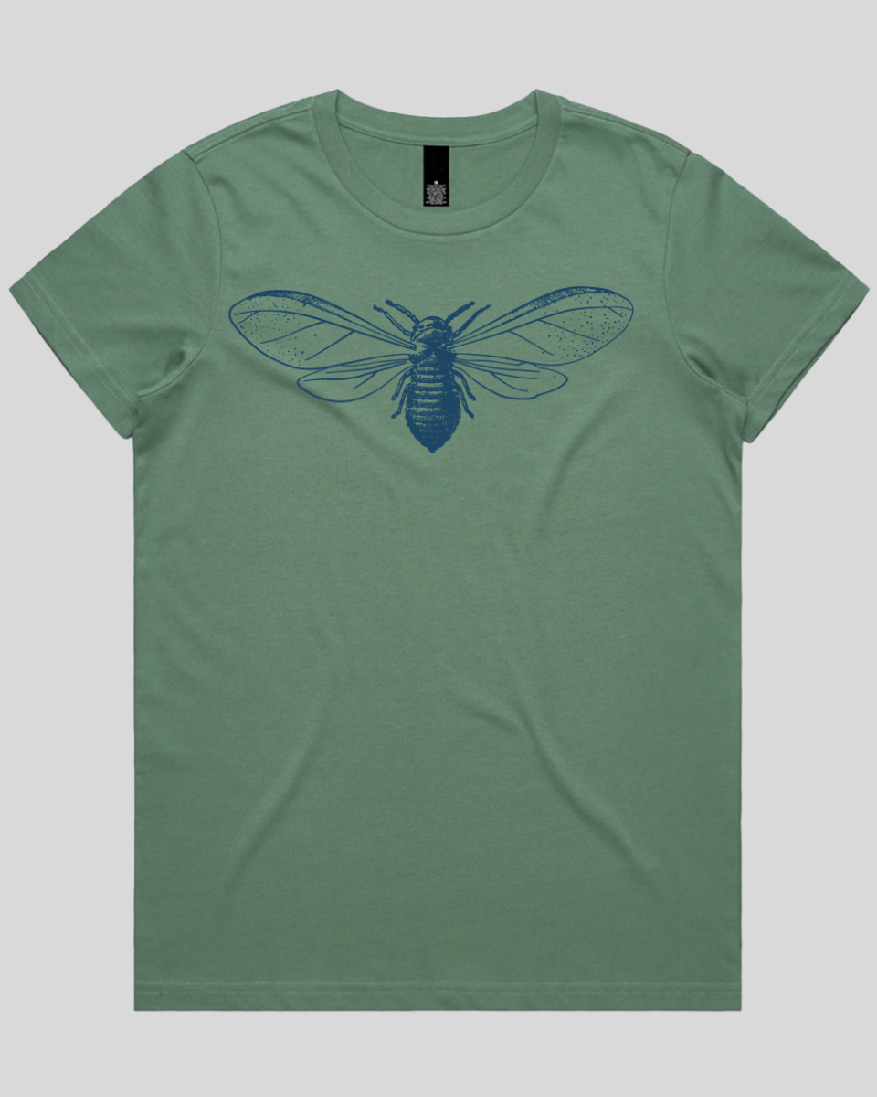 Detailed Moth Illustration Women's Tee